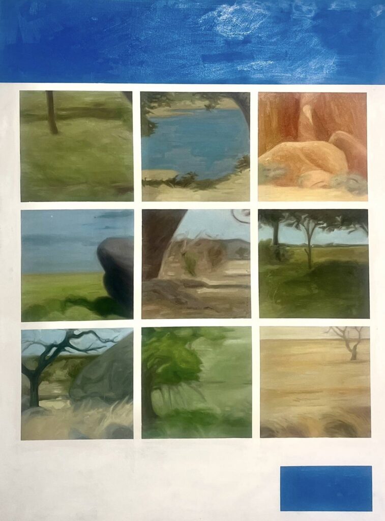 Select All Images With A Rhinoceros, Select Verify Once There Are None Left